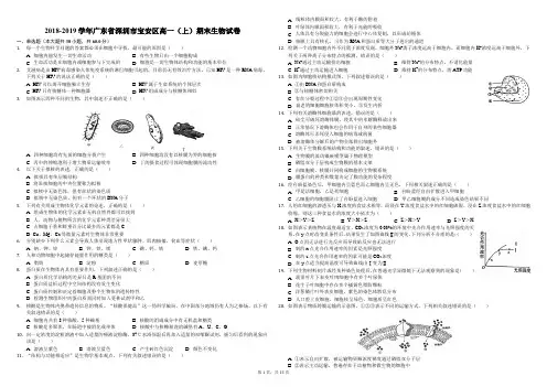 2018-2019学年广东省深圳市宝安区高一(上)期末生物试卷(解析版)