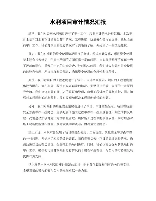 水利项目审计情况汇报