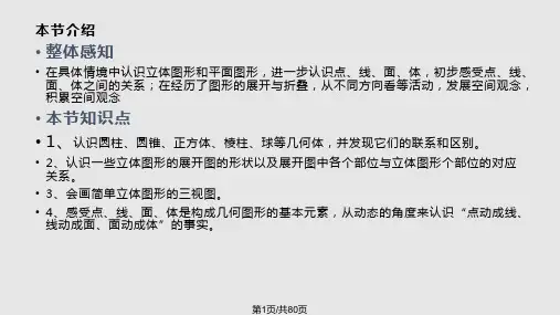 多姿多彩的图形PPT课件