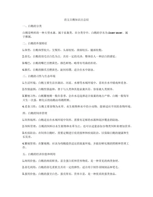 语文白鹅知识点总结
