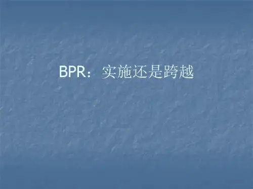 BPR：实施还是跨越-流程再造案例(PPT 236页)