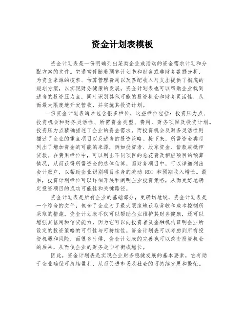 资金计划表模板 (2)
