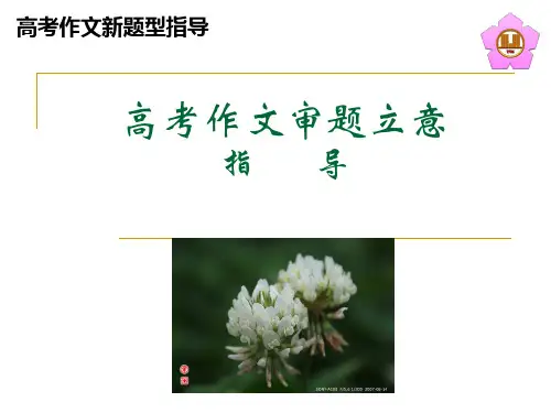高考作文审题立意指导ppt优秀作文