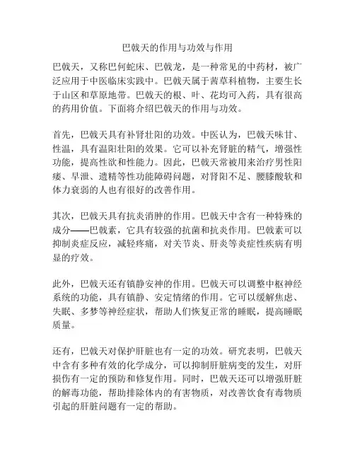 巴戟天的作用与功效与作用
