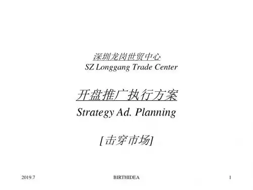 开盘推广执行方案页PPT文档