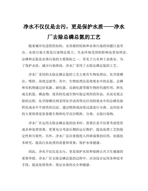 净水厂去除总磷总氮的工艺