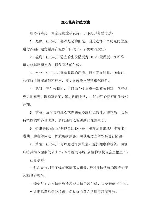红心花卉养殖方法