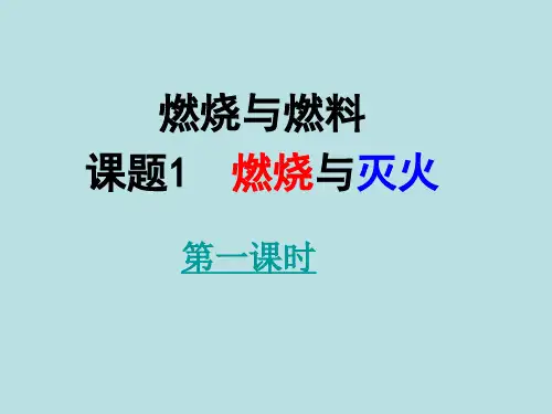 燃烧和灭火第一课时PPT课件