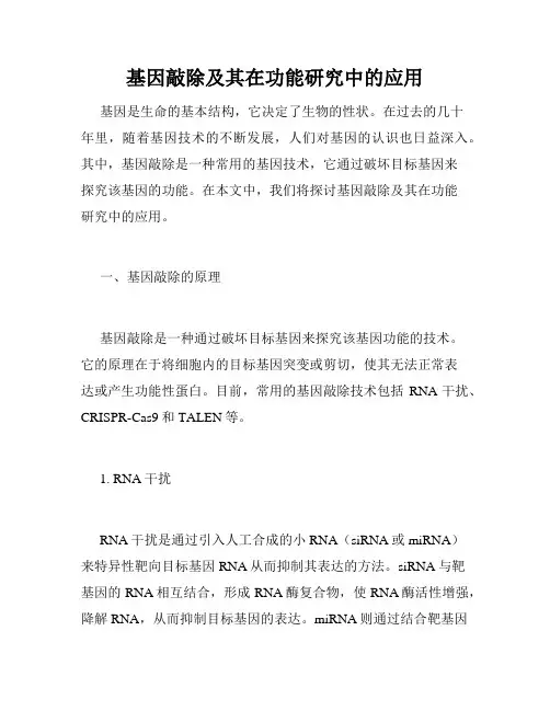 基因敲除及其在功能研究中的应用