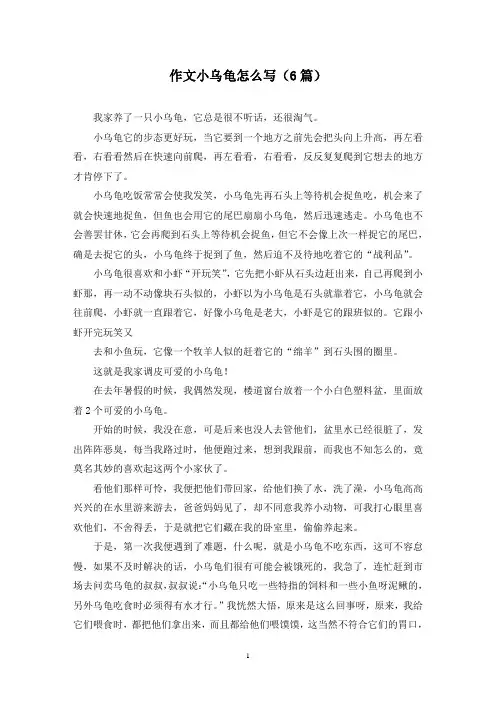 作文小乌龟怎么写(6篇)