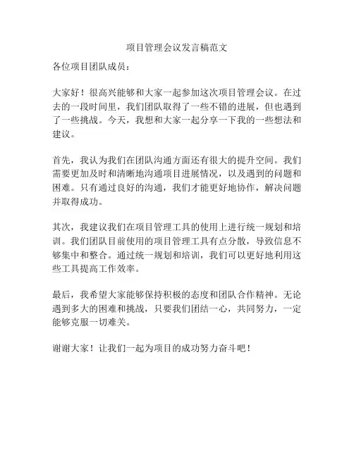 项目管理会议发言稿范文