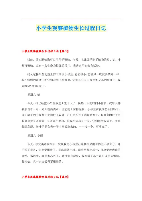 小学生观察植物生长过程日记