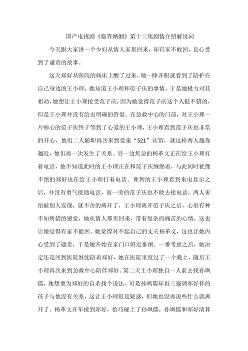 国产电视剧《临界婚姻》第十三集剧情介绍解说词