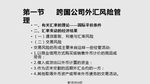 跨国公司经营风险与管理PPT课件