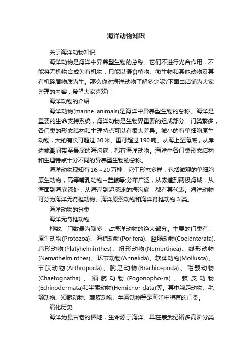 海洋动物知识