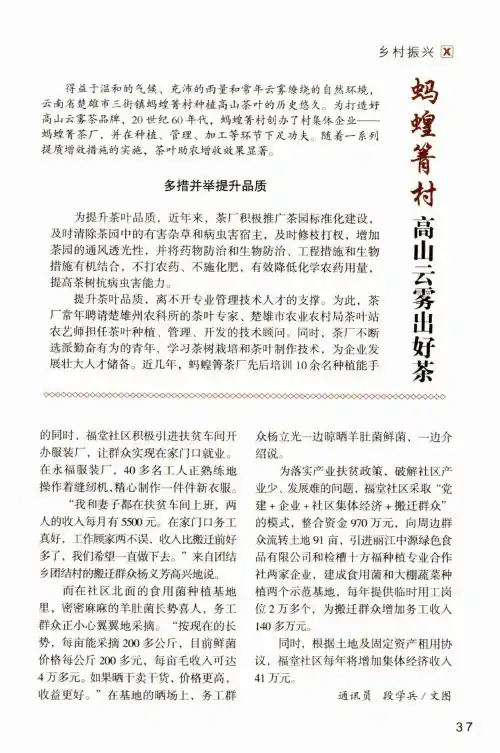 蚂蝗箐村 高山云雾出好茶