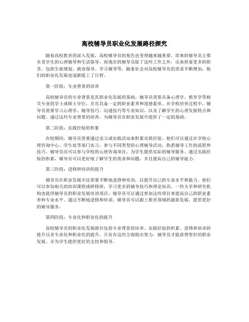 高校辅导员职业化发展路径探究