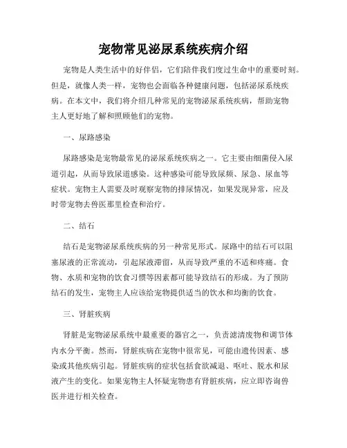 宠物常见泌尿系统疾病介绍