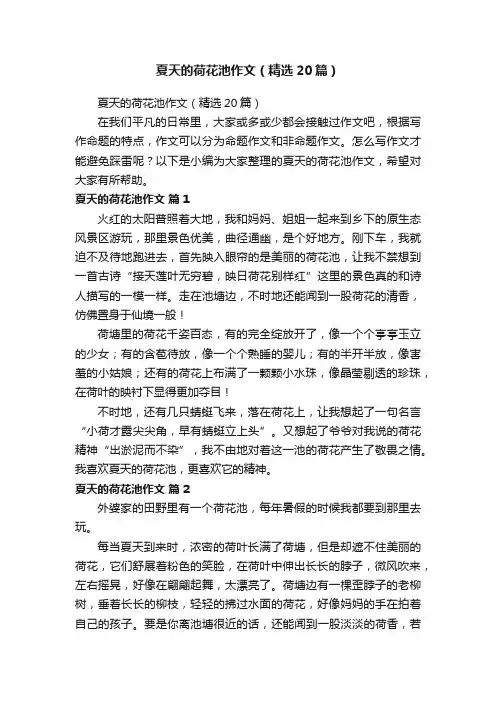 夏天的荷花池作文（精选20篇）