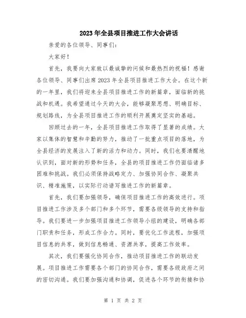 2023年全县项目推进工作大会讲话