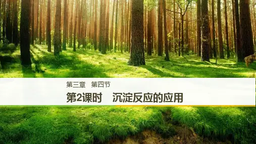 高中化学 沉淀反应的应用课件