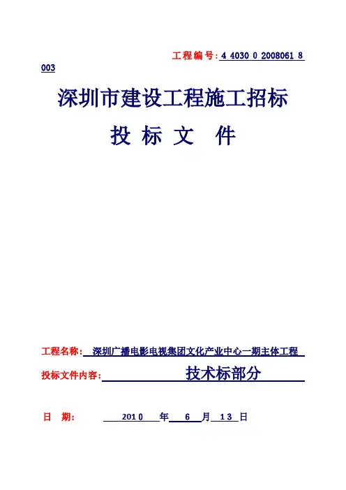 技术标暗标部分
