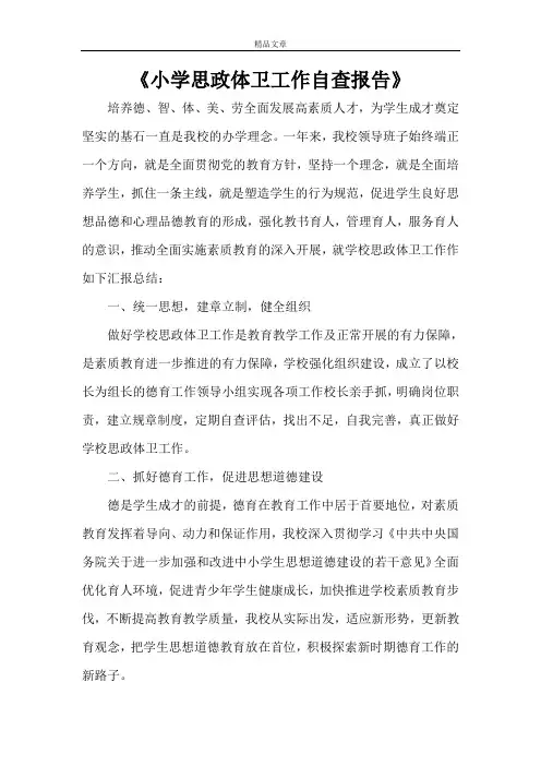 《小学思政体卫工作自查报告》