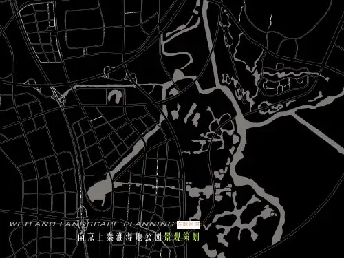 南京上秦淮湿地公园景观策划