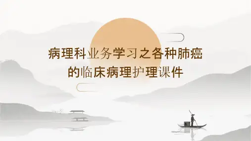病理科业务学习之各种肺癌的临床病理护理课件