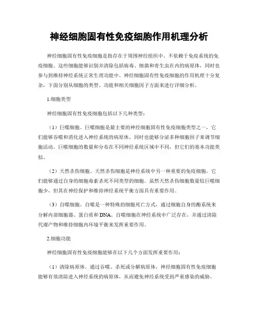 神经细胞固有性免疫细胞作用机理分析