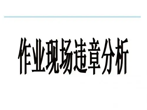 作业现场违章分析(工会)