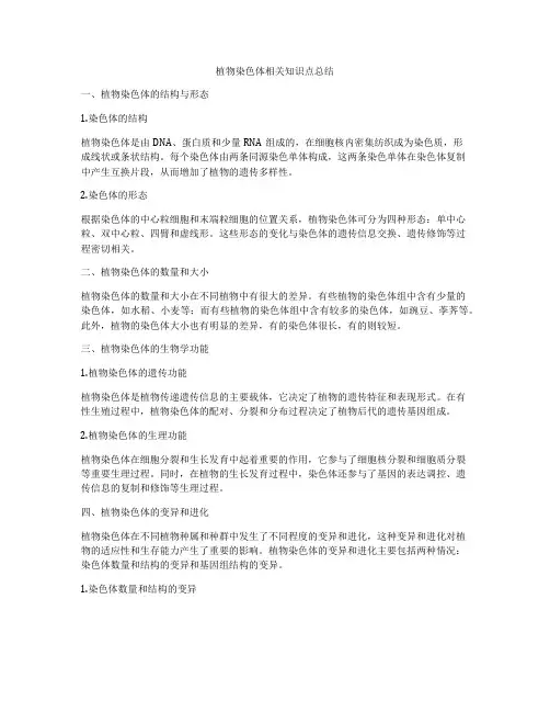 植物染色体相关知识点总结
