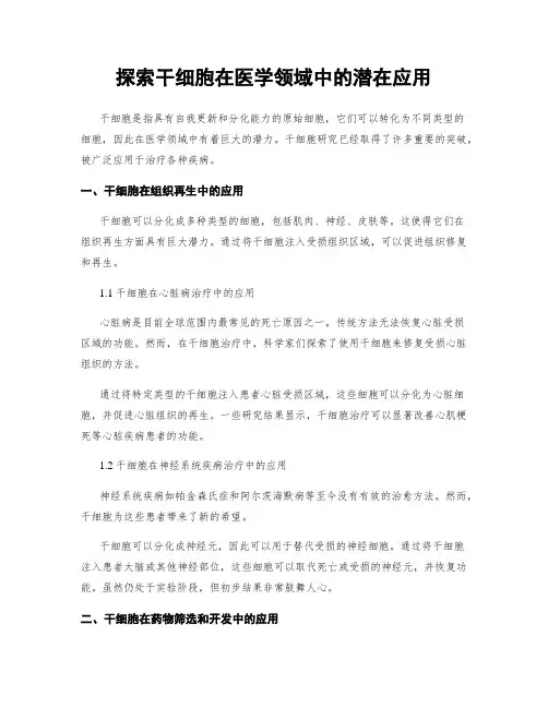 探索干细胞在医学领域中的潜在应用