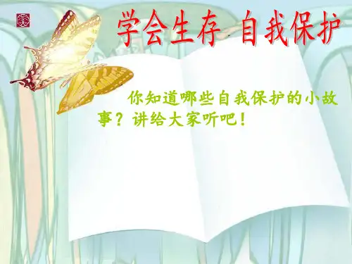 智慧之花PPT课件
