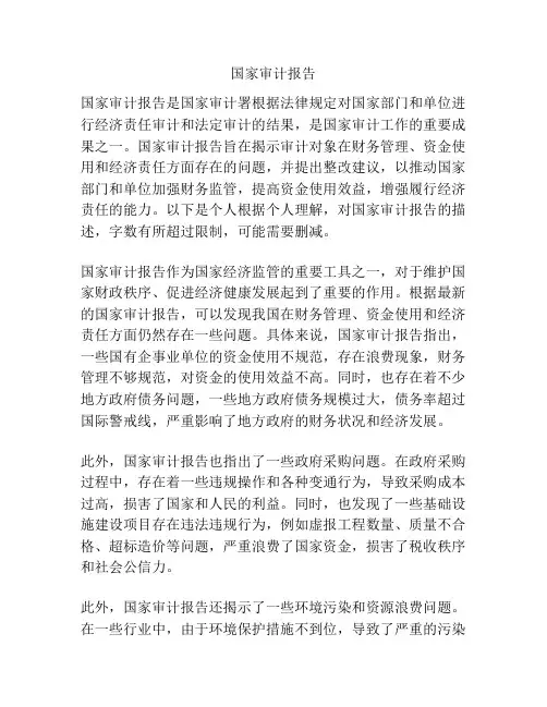 国家审计报告