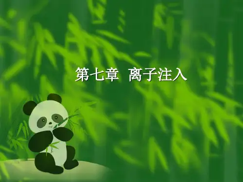 第7章 离子注入