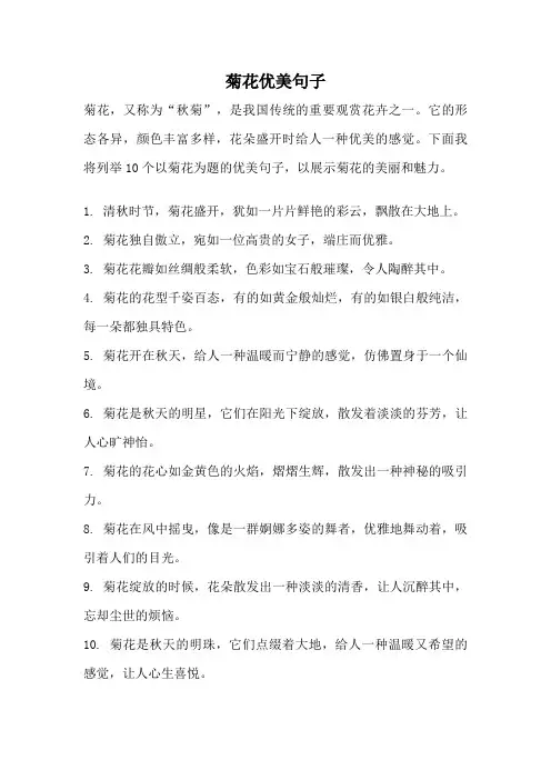 菊花优美句子