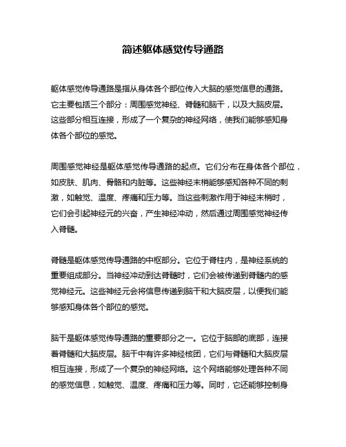 简述躯体感觉传导通路