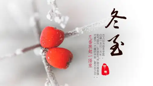 2024中国传统节日之冬至节气宣教课件