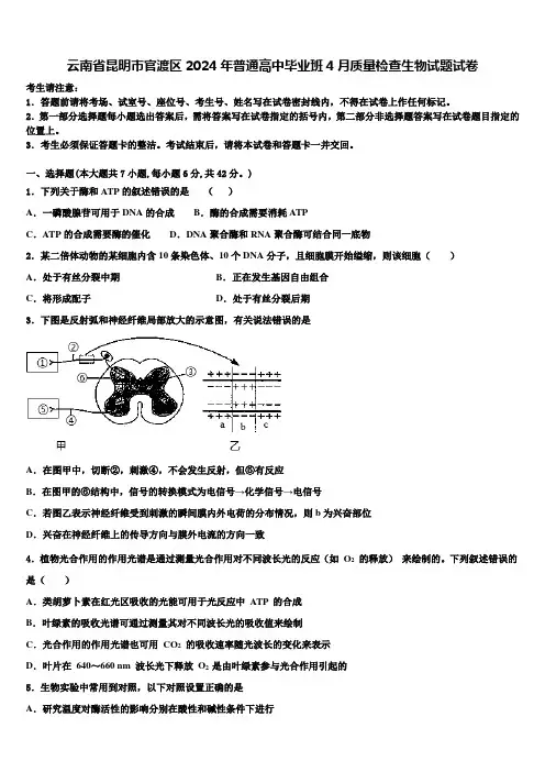 云南省昆明市官渡区2024年普通高中毕业班4月质量检查生物试题试卷含解析
