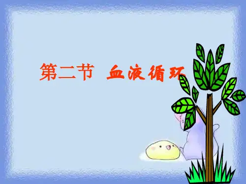 生物七下《血液循环》ppt2