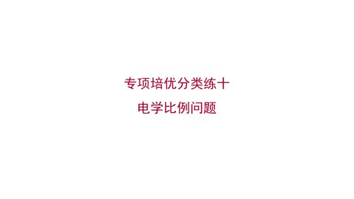 人教版九年级物理专项培优分类练十电学比例问题习题课件