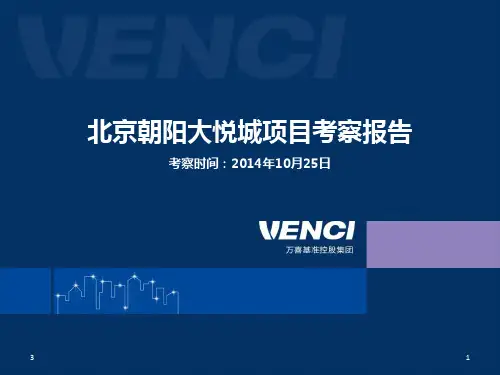 朝阳大悦城项目考察报告(教学PPT)