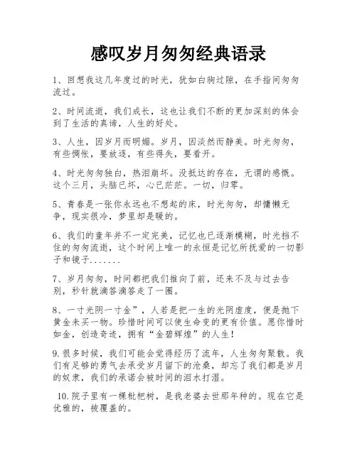 感叹岁月匆匆经典语录