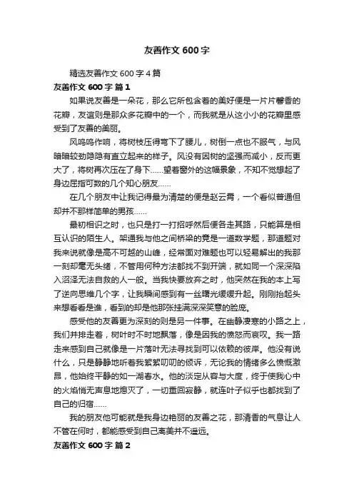 精选友善作文600字4篇