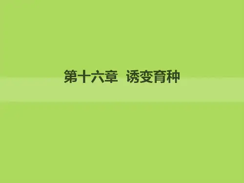 第16章  诱变育种