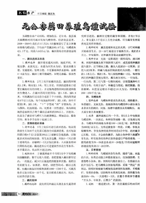 无公害藕田养殖乌鳢试验