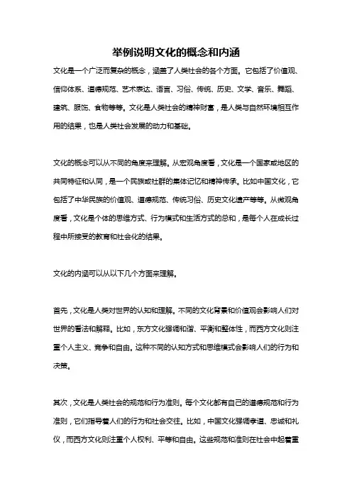 举例说明文化的概念和内涵