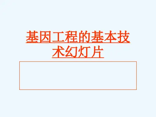 基因工程的基本技术幻灯片