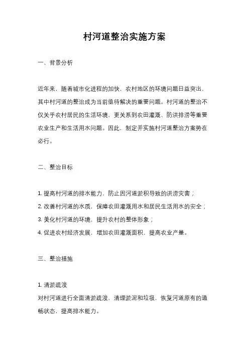 村河道整治实施方案